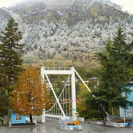 Tamarioni Hotel Borjomi Exterior photo