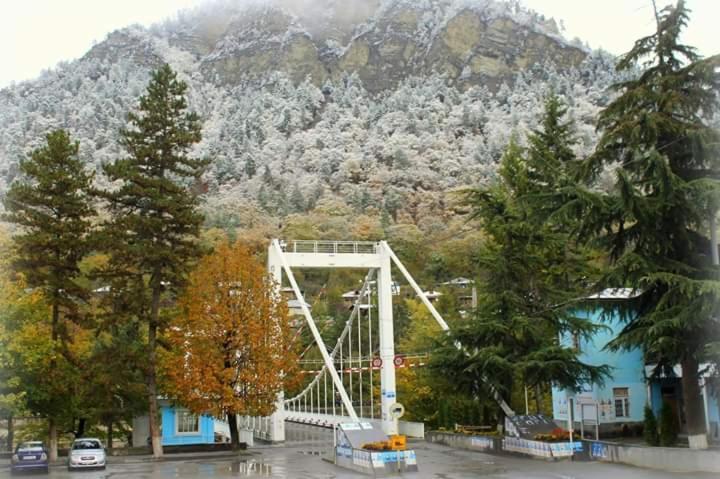 Tamarioni Hotel Borjomi Exterior photo